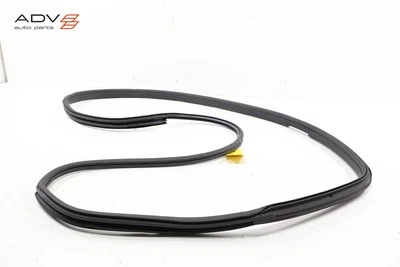 2014 - 2021 BMW i3 i3s I01 LEFT DRIVER SIDE DOOR BODY WEATHERSTRIP SEAL OEM - image 1 of 4