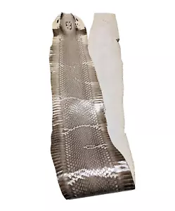 Glossy Unbreached Natural Cobra Snake Skin w/ Natural "O" Mark 37x4" - Picture 1 of 3