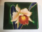 Ando Cloisonne Oriental Floral Japanese Enamel On Copper Rectangular Tray 