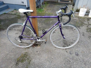 Landshark Roadshark 58 CM Vintage Steel Road Bike, Full Campangolo Group - Picture 1 of 4