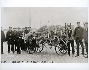 Antiker Hirsch Jagdwagen Ladung großer Böcke Forelle See MI Weißschwanz Hirsch Jagd - Bild 1 von 1