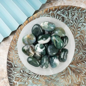 Moss Agate Crystal Tumble Stone, Polished Stone for Meditation & Healing - Picture 1 of 5