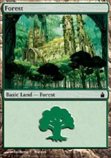 FOREST #305 Ravnica MTG Magic the Gathering Cards DJMagic