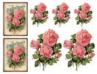 Vintage Victorian Scotts Seed Packet Roses Labels Waterslide Decals FL262 U PIC