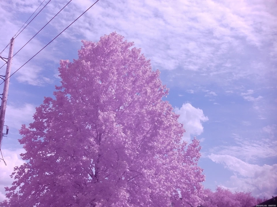 Cámara infrarroja de espectro completo de visión nocturna 56 MP 4K DVR IR/UV de caza de fantasmas  Foto 1 de 4