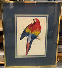 Vintage Edward Lear Red & Yellow Macaw Print Framed 26 X 32 Inches