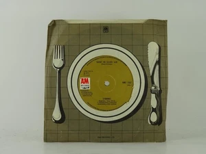 STRAWBS SHINE ON SILVER SUN (3) 2 Track 7" Single also Picture Sleeve A&M RECORD - Picture 1 of 7