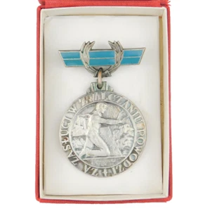 3687 POLISH BADGE "FOR SERVICE IN FIGHTING FLOODS" POLAND - Picture 1 of 6
