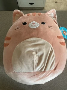 RARE 16 inch Squishmallow, Gigi the Orange Cat - Picture 1 of 5