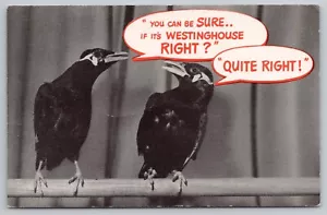 1950s Westinghouse Advertising Talking Mynah Birds Acey & Deecee UNP Postcard - Picture 1 of 2