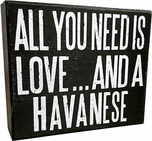JennyGems All You Need is Love and A Havanese | Regalos para mamás habaneras y... - Imagen 1 de 7