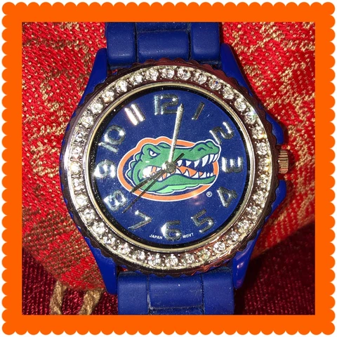 Gators Blue Silicone Watch Unisex Large Face Florida Gators Battery Needed Cover