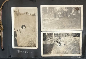 VTG 50+ Photo Family Album Hunting Deer Fishing Salmon Farming Camping - Picture 1 of 10