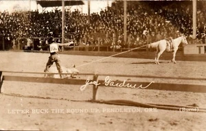 POSTCARD RPPC PENDLETON ROUNDUP OREGON JOE GAIDUN CALF ROPING - Picture 1 of 2