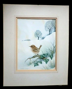 Original Andrew Osborne Painting of a Wren in a Winter Snowy Landscape, Bird - Picture 1 of 7