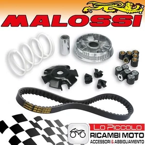 KIT MALOSSI VARIATORE MULTIVAR + CINGHIA VESPA ET4 LX S GT GTS 125 150 M.LEADER - Foto 1 di 1
