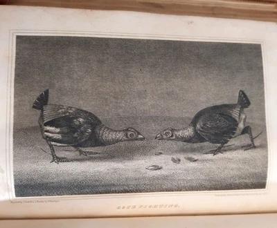 1818 BRITISH FIELD SPORTS INSTRUCTIONS IN SHOOTING HUNTING RACING BY SCOTT @ - Image 1 of 4