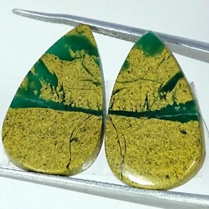 16.60 Cts Natural Green Opal Gemstone Pear Unique Cabochon Pair 12X20X3MM - Picture 1 of 6