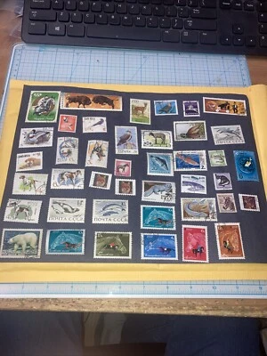 41 Intl. Animals/Fish/Birds Stamps 1965-1981. MNH/Cancelled. $1 Ships. A DEAL! - Image 1 of 4