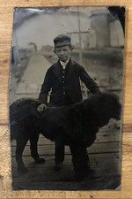 Nicely Dressed Young Boy Large Dog Outdoor Scene Tintype