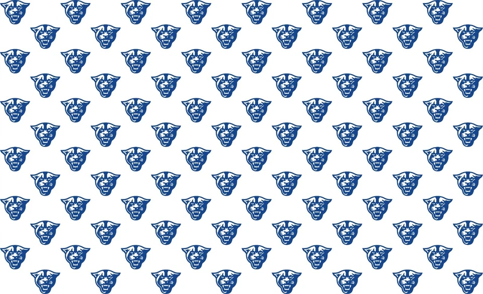 Tela de la Universidad Estatal de Georgia por yarda Foto 1 de 1