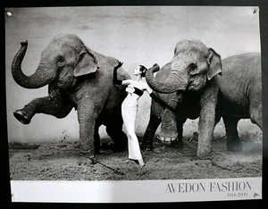 Richard Avedon - Evening Dress by Dior -2009 - Offset poster - by Fotofolio - Picture 1 of 9
