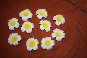 Deko Schaumstoff Frangipani - Blüten Blumen Basteln 10 Stk. - Bild 1 von 3