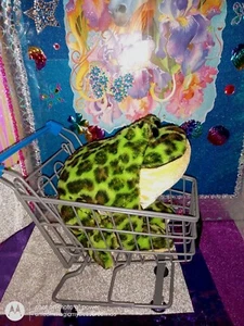 🦄Ganz Webkinz "Bullfrog" Green Yellow Frog Speckled Black Spots HM114 9.5"Plush - Picture 1 of 14