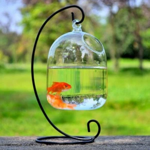 Hanging Vase Plant Glass Hanging Fish Tank Wall Mounted Bowl Household Aquarium - Picture 1 of 13