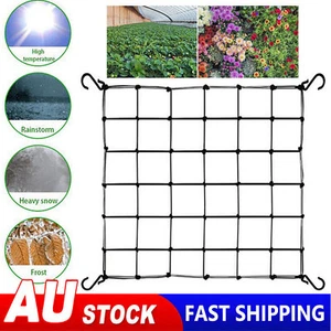 Elastic Scrog Trellis Net Garden Plant Climbing Support Netting Grow Tent Fence - Picture 1 of 15