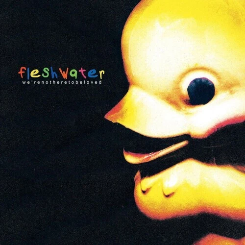 We're Not Here to Be Loved by Fleshwater (Record, 2023)