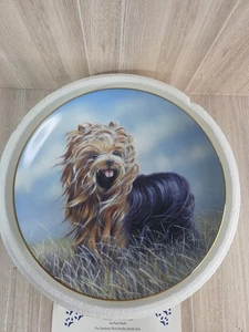 Danbury Mint Yorkshire Terrier Plate No.A3461 " Windswept" By Paul Doyle - Picture 1 of 6