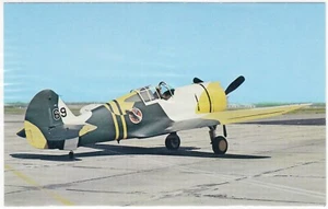 U.S. AIR FORCE - CURTIS P-36A 'HAWK' - Picture 1 of 1