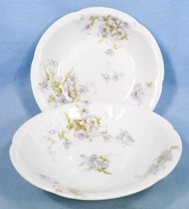 2 Theodore Haviland Dessert Bowls Schleiger 162 125 Fruit Blue Flowers Antique - Picture 1 of 5