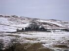 Photo 6x4 Shielbrae ruins Cambusbarron Isolated on the braes of the Touch c2010