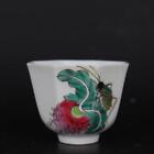 Old Chinese Porcelain Color Painted Radish Insect Teacup Qing Yongzheng Marka313