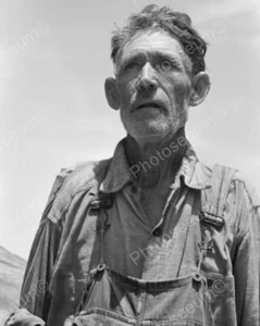 Farmer Looking At Crops 1939 Vintage 8x10 Reprint Of Old Photo - Bild 1 von 1