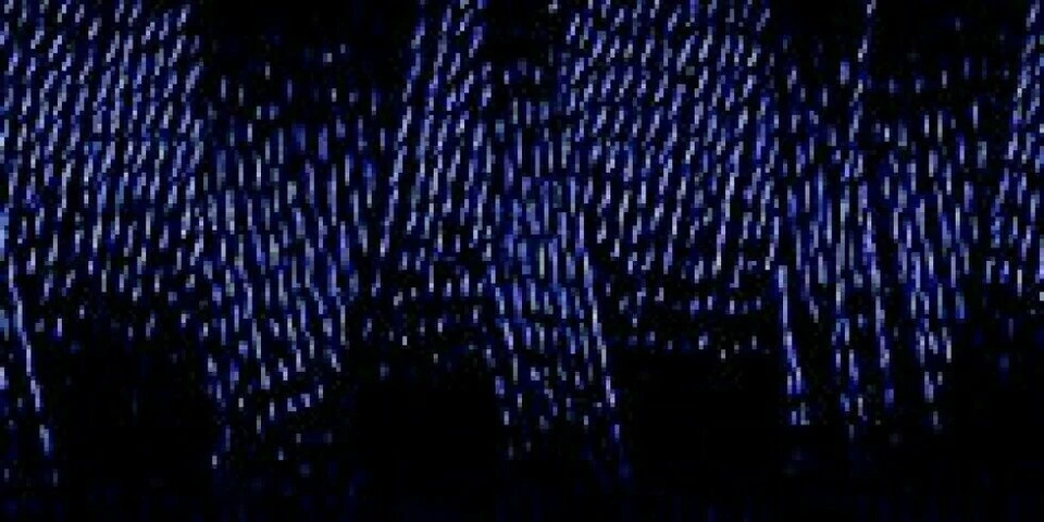 Gutermann Rayon 40 Embroidery Thread, 200m 220 yd - colour 1044 - Image 1 of 1