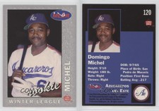 1993 Lime Rock Dominican Winter League Domingo Michel #120