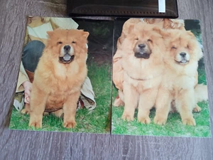 Camera  Olympus Superzoom 105G Point Shoot 35 mm Film Camera JAPAN - Picture 1 of 8