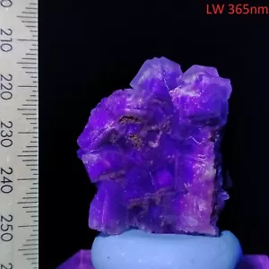 Fluorescent Fluorite purple translucent clear cubic crystal cluster Video 129ct - Bild 1 von 8