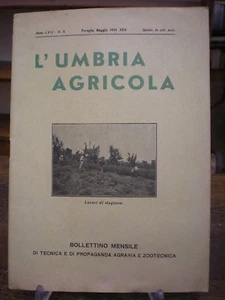 (AGRICOLTURA-OLIVICOLTURA-FORAGGI) UMBRIA AGRICOLA 1939 - Picture 1 of 1