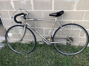 Zebra Sprint Touring Road Bike 21” Chrome Molybdenum Bicycle Cycling - Picture 1 of 9