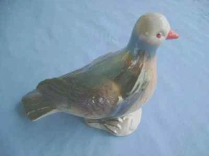 A beautiful wild bird glazed with colors of Gold,brown,black.orange beak - Picture 1 of 10