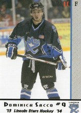 2013/14 Lincoln Stars Series 2 - DOMINICK SACCO
