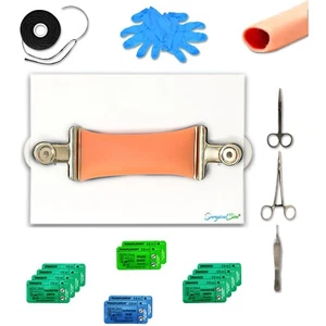 Darmanastomose Training Kit End-to-End-Übung mit 30 mm Durchmesser Modell - Bild 1 von 6