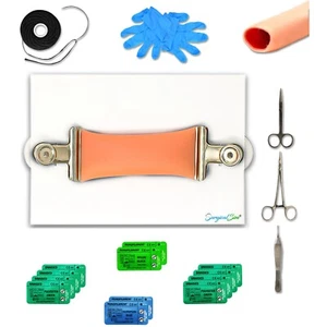 Bowel Anastomosis Training Kit Practice End to End with 30mm Diameter Model - Picture 1 of 6