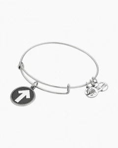 🕉️  Alex and Ani Stand Up To Cancer Charity by Design Bracelet CBD14SUTCRS - Picture 1 of 2