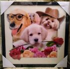 Holographic 3-D Vision Dog Picture Wall Art in Frame 17"x17" New Veterinarian 