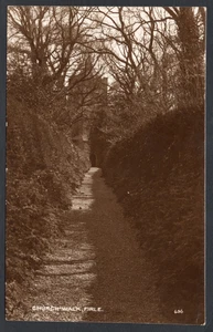 Postcard Firle nr Lewes Sussex village Church Walk early RP - Picture 1 of 2